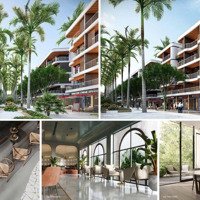 Tổng Hợp Rổ Hàng Chuyển Nhượng Swan Bay Mới Nhất 2024, Nhiều Căn Giá Tốt Nhất