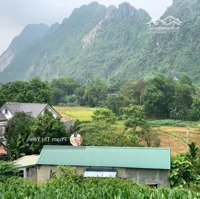 Chủ Gửi Bán 5250M/350M Thổ Cư, Còn Lại Đất Vườn ) - View Cánh Đồng, Bám Đường Bê Tông Tại Lương Sơn