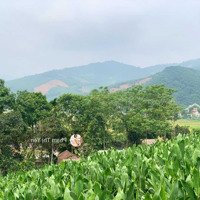 Chủ Gửi Bán 5250M/350M Thổ Cư, Còn Lại Đất Vườn ) - View Cánh Đồng, Bám Đường Bê Tông Tại Lương Sơn