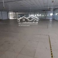 Nhà Xưởng - Showroom (3100M²)Mặt Tiềntrịnh Như Khuê, Bình Chánh