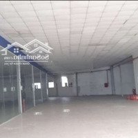 Nhà Xưởng - Showroom (3100M²)Mặt Tiềntrịnh Như Khuê, Bình Chánh