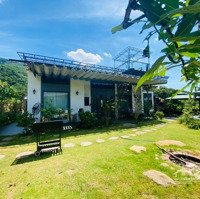 Cần Chuyển Nhượng Lại Căn Homestay Nghỉ Dưỡng Nho Nhỏ Xinh Xinh Tại Lâm Trường Sóc Sơn