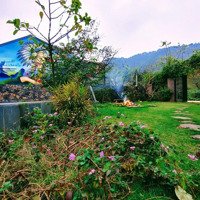 Cần Chuyển Nhượng Lại Căn Homestay Nghỉ Dưỡng Nho Nhỏ Xinh Xinh Tại Lâm Trường Sóc Sơn