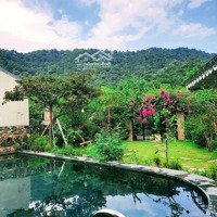 Cần Chuyển Nhượng Lại Căn Homestay Nghỉ Dưỡng Nho Nhỏ Xinh Xinh Tại Lâm Trường Sóc Sơn