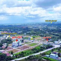 Cần Bán 100M2 Đất Dự Án Rose Mall - An Nông Giá Bán 1Tỷ6