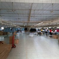 Cho Thuê Nhà Kho Xưởng 10.000M2 Nguyễn Văn Bứa, Hóc Môn Có Pccc Tự Động