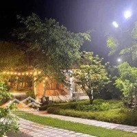 Chuyển Nhượng Lại Khu Resort Gần 7000M2 Huyền Trân Công Chúa