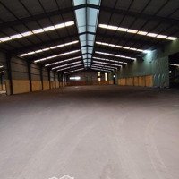 Cho Thuê Kho 6000M2 + 4000M2 Thuê Vụ Sầu Riêng 4 Tháng