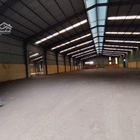 Cho Thuê Kho 6000M2 + 4000M2 Thuê Vụ Sầu Riêng 4 Tháng