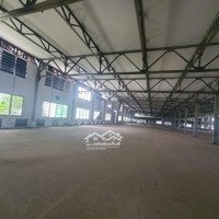 Cho Thuê Kho Trung Tâm Gò Vấp, Tdt: 40.000M2, Cho Thuê Từ 1.000M2 Trở Lên, Pccc Vách Tường