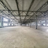 Cho Thuê Kho Trung Tâm Gò Vấp, Tdt: 40.000M2, Cho Thuê Từ 1.000M2 Trở Lên, Pccc Vách Tường