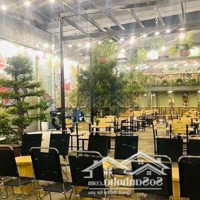 Nhà Hàng Sân Vườn 400M2Số 99 Thành Thái Q10Giá Chỉ 59 Triệu/Th