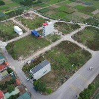 Bán 80M2 Lô Góc X2 Sơn Du, Nguyên Khê, Đông Anh - Công Viên Phần Mềm Vingroup.