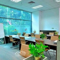 Sàn 70M2 Quan Hoa, Cầu Giấy, Ánh Sáng Tự Nhiên, Đầy Đủ Pccc, Điều Hòa