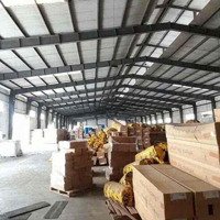 Cho Thuê Kho Xưởng Dg Dương Công Khi Hóc Môndiện Tích8000M2 Giá Bán 320 Triệu Pccc