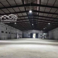 Cho Thuê Kho Xưởng Dg Tân Thới Nhất 8 Quận 12Diện Tích3000M2 Vp Giá 360 Triệu