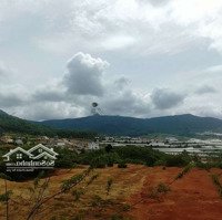 Đất Nn View Núi Langbiang, Khu Đô Thị Mới Vạn Xuân, Ttlạc Dương
