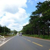 Bán 80M Mặt Tiền Ql14 8000M2 Tmdv 4000M2 Có Thể Dựng Kho Xưởng Ngay