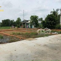 Thua Lỗ Cần Bán 184M2:Trường Xa-Đôn Thuận-Trảng Bàng-Tây Ninh Có Shr