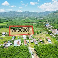 Cần Bán 10000M2 Có 400Otn Đường 5M Mặt Tiền 95M Nghĩa Thuận, Tư Nghĩa, Quảng Ngãi