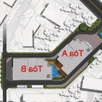 Cần Bán Gấp Stm Toà The Garden Hill 99 Trần Bình 0944040099