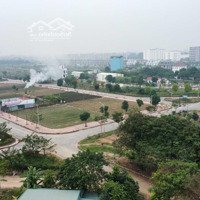 Bán Đất Nền Kđtm Cienco 5 Mê Linh Giá Rẻ Nhất, Dự Án Cienco 5 Mê Linh