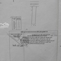 Bể Nợ Ra Gấp Lô Đất Tại Phước Tân ,Mặt Tiền Đường Chính Lớn 32M Giá Tl