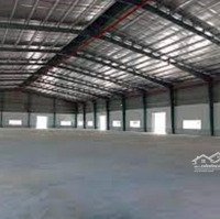 Cho Thuê Từ 1000-20.000 M2 Kho Xưởng Kcn Sài Đồng , Kho Mới, Pccc Tự Động, 100Nghìn/M2/Th