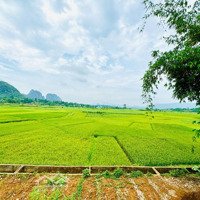 Gần 1000M Toàn Bộ Thổ Cư Giá Rẻ Tại Cao Phong, Hoà Bình