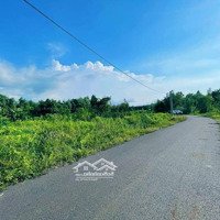 1.8 Sào Có 1.3 Tỷ View Suối Đá Bạc, Châu Đức, Br Vũng Tàu