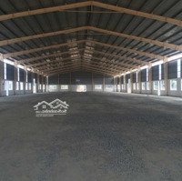 Cho Thuê Kho 6000M2 Làm Sầu Riêng Krông Buk, Đăk Lăk