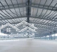 Cho Thuê Kho 6000M2 Làm Sầu Riêng Krông Buk, Đăk Lăk