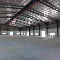 Cho Thuê Kho 6000M2 Làm Sầu Riêng Krông Buk, Đăk Lăk