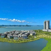 Gia Đình Muốn Bán 1 Căn View Bể Bơi , 1 Căn View Nội Khu Dự Án Harbor Bay Hạ Long