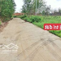 Đất 1000M2, Ngang 20M, Mặt Tiền Bê Tông Xã Sông Thao.