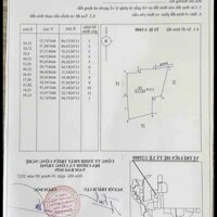 CHÍNH CHỦ CẦN BÁN GẤP LÔ ĐẤT RỘNG ĐANG TRỒNG CÂY ĂN TRÁI NGAY XÃ HÒA HỘI, XUYÊN MỘC, BÀ RỊA VŨNG TÀU