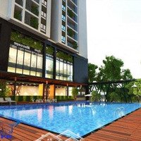 Chính Chủ Bán 250M2 Tòa G1G2 Five Star 460 Khương Đình, Sổ Đỏ Lâu Dài Sở Hữu Riêng, Cho Thuê 60 Triệu/T