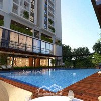 Chính Chủ Bán 250M2 Tòa G1G2 Five Star 460 Khương Đình, Sổ Đỏ Lâu Dài Sở Hữu Riêng, Cho Thuê 60 Triệu/T