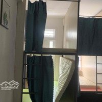 Cho Thuê Sleep Box Và Giường Dorm