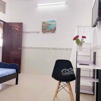 Cần Sang Lại Minihouse Đang Kd Có Thu Nhập Khu Ca