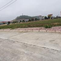 Bán đất đấu giá gần chợ Cam Lâm, Minh Quang, Tam Đảo. DT 200m2