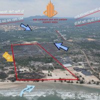 5,5 Ha Dự Án Resort 4 Sao Giáp Biển Tân Thành - Htn - Bình Thuận Cần Sang Nhượng