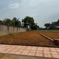 Hàng Mới Ra Lò, 250M2 Trục Chính Phú Cát, Gần Các Đường Lớn Giá Rẻ Chỉ Hơn 2 Tỷ