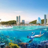 Căn Hộ Libera Nha Trang 50M2 Chỉ Từ 1,1 Tỷ Bàn Giao Full Nội Thất