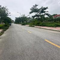 Bán 2 lô đất dịch vụ Lai Sơn, Đồng Tâm, Vĩnh Yên. DT 100m2