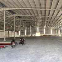 Cho Thuê Nhà Xưởng Mới Xây Dựng Phường Phú Hữu Quận 9, Tphcm