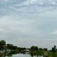 Bán đất trang trại 52.040m2 chính chủ, 2 mặt tiền kênh, xã Tân Thành, Thủ Thừa, Long An