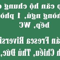 Chính chủ cần bán gấp căn hộ chung cư 55m2 gồm 2 phòng ngủ, 1 phòng khách, bếp, WC