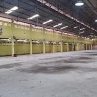 Cho thuê kho xưởng 2500m2 đường Nguyễn Xiển, phường Long Bình, Quận 9