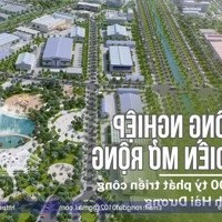 Chuyển Nhượng Lô Đất 2 Mặt Tiền 1,25Ha Kcn Phúc Điền Mở Rộng, Hải Dương - Giá Rẻ 3X Tỷ (X Nhỏ)